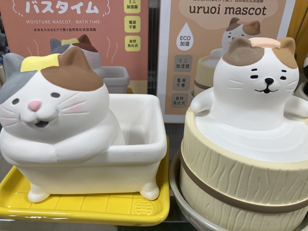  【長崎店】どの子にしようか悩んじゃう